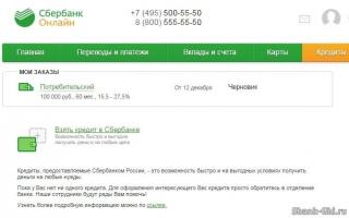 Ponovno podnošenje zahtjeva za kredit u Sberbank: kako i u kojem roku možete podnijeti zahtjev online nakon odbijanja