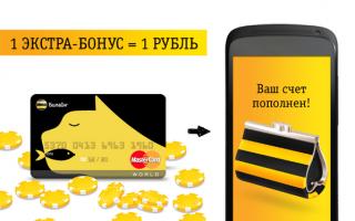 Online prijava za Beeline kreditnu karticu