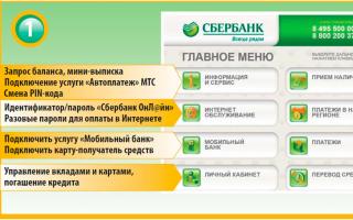 Izračuni plaćanja na kreditnoj kartici Sberbank s primjerima